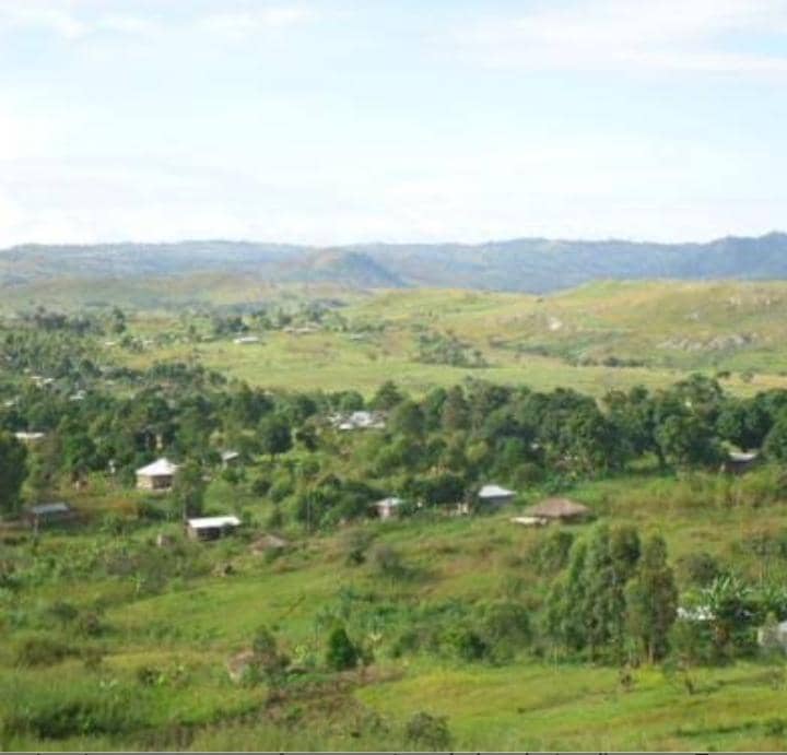 Beni: 9 civils tués dans une nouvelle attaque des ADF à Bashu