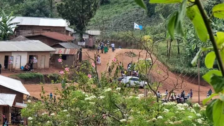 Beni : les notables de Bashu appellent les forces conjointes FARDC-UPDF à intensifier des opérations de grande envergure contre les ADF