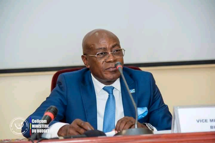 Politique : les forces politiques et sociales alliées à l’UDPS lancent un atelier de formation pour les témoins électoraux