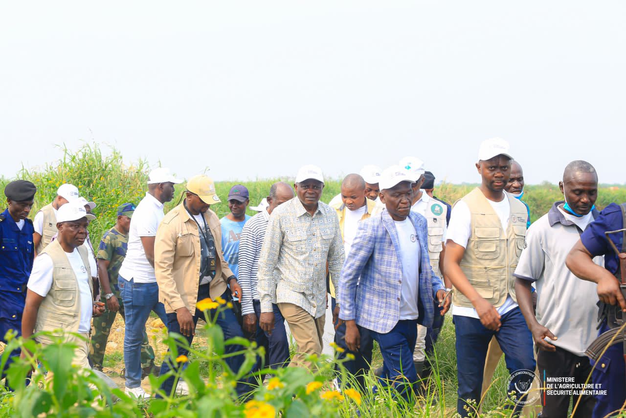 RDC : Grégoire Mutshail Mutomb donne un nouveau souffle à l’agriculture congolaise
