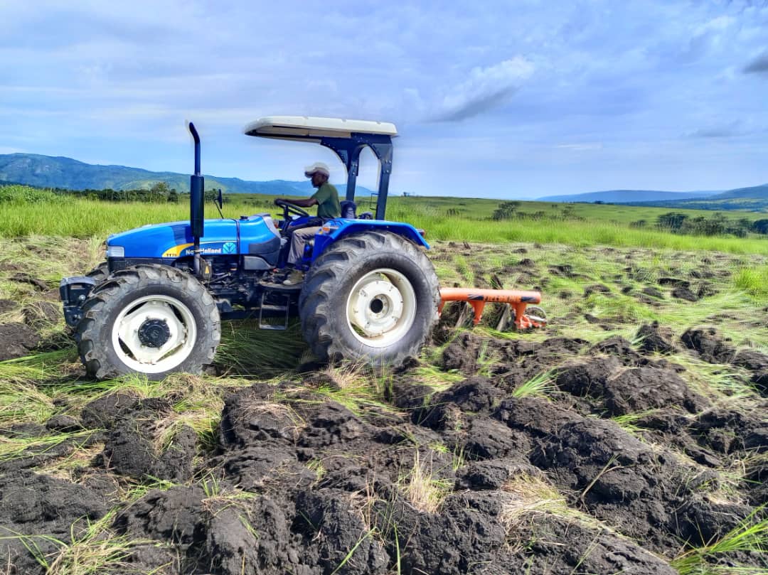 Ituri : Les jeunes de Babelebe s’engagent pour un développement durable à travers l’agriculture