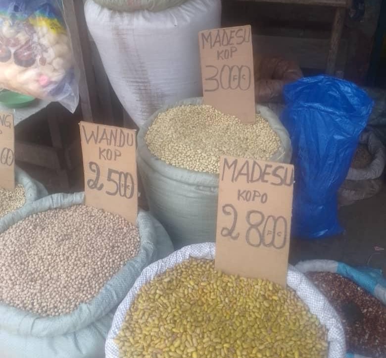 RDC : Stabilité du Franc congolais face au dollar à Matadi, un signal économique ?